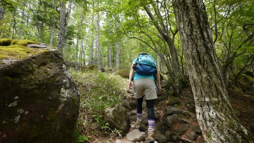 観音平から編笠山への登山道の様子３