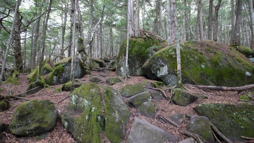 観音平から編笠山への登山道の様子４