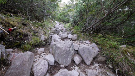 編笠山山頂付近の急登