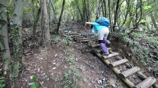 相模湖から明王峠までの登山道の様子