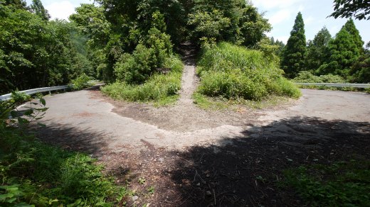 相模湖から明王峠までの登山道の様子３