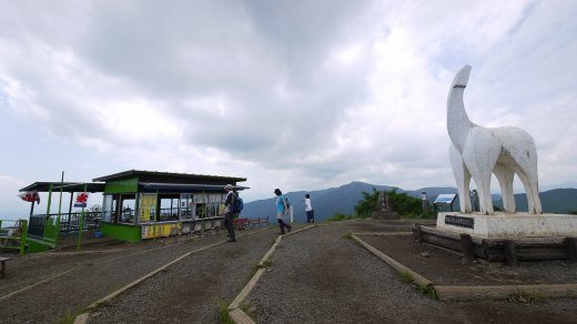 陣馬山の山頂