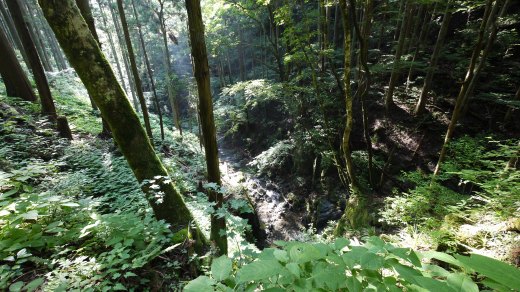 西沢へ向かう尾根の様子２