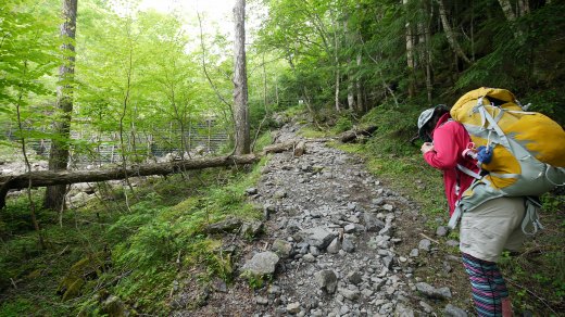 駒仙小屋から仙水小屋への登山道