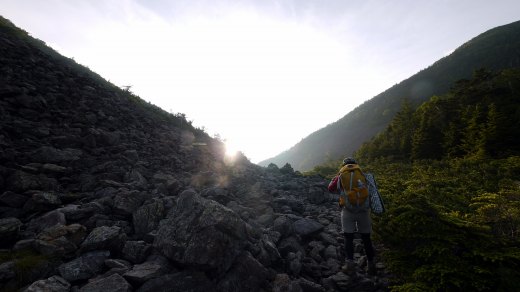 仙水小屋から仙水峠への登山道