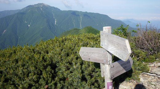 駒津峰の分岐と仙丈ヶ岳