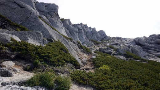 甲斐駒ケ岳への直当コースの様子2　花崗岩