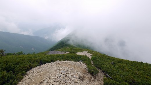 駒津峰から双児山への尾根