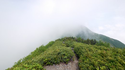駒津峰から双児山への登り