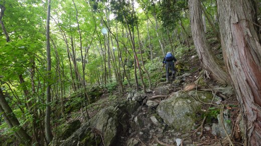 八丁峠駐車場から八丁峠までの登山道の様子2