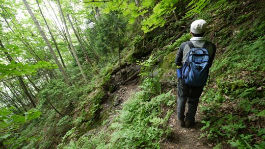 八丁峠駐車場から八丁峠までの登山道の様子３