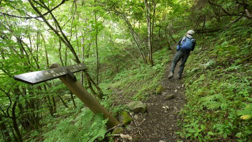 八丁峠駐車場から八丁峠までの登山道の様子４