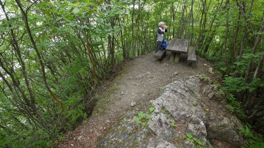 八丁峠のベンチ