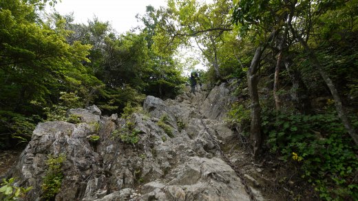 行蔵峠から西岳への道