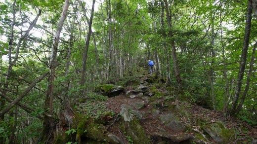 東岳から両神山への登山道の様子１