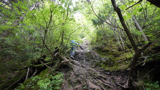 東岳から両神山への登山道の様子２