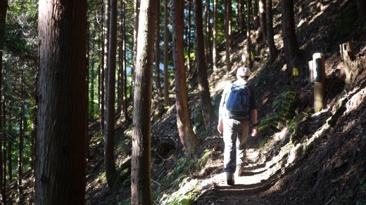 両神山荘から会所までの登山道