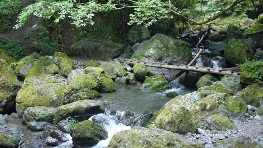 会所の様子と橋