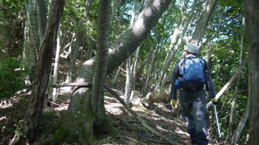 辺見岳への尾根