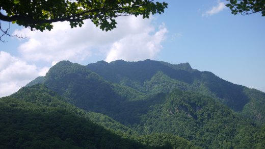 辺見岳付近からみた両神山