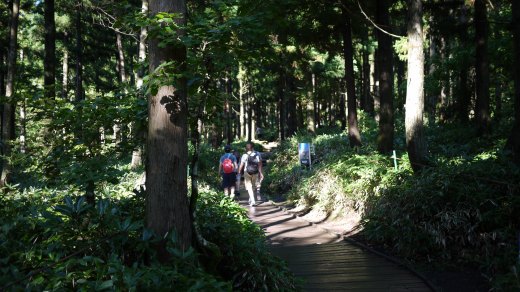 城板岳（ソンパナク）登山コースの様子