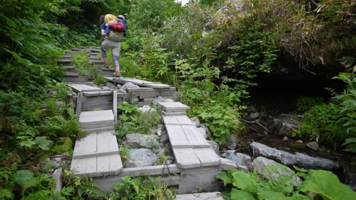 白馬尻小屋までの登山道の様子