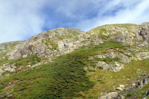 荒川岳の斜面