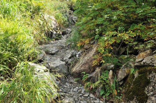 荒川岳カールへの急登の様子