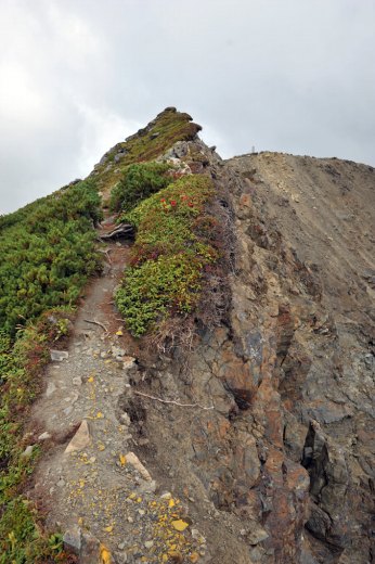 荒川前岳への尾根と前岳山頂