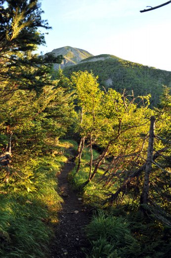 聖平小屋から聖岳への登山道の様子