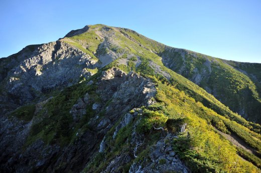 小聖岳から望む聖岳