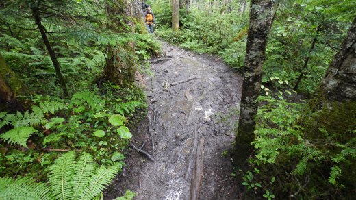 まめうちだいらから蝶ヶ岳の登山道の様子