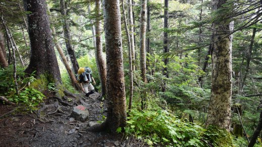 蝶槍から常念岳への登山道の様子1