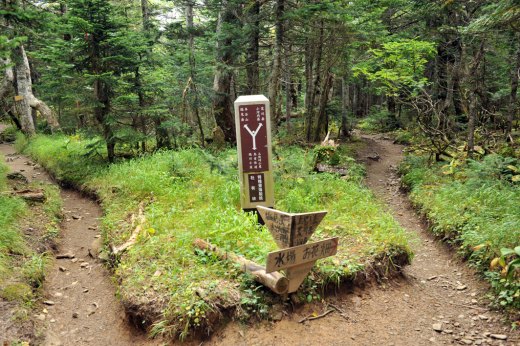 三伏山と烏帽子岳の分岐点