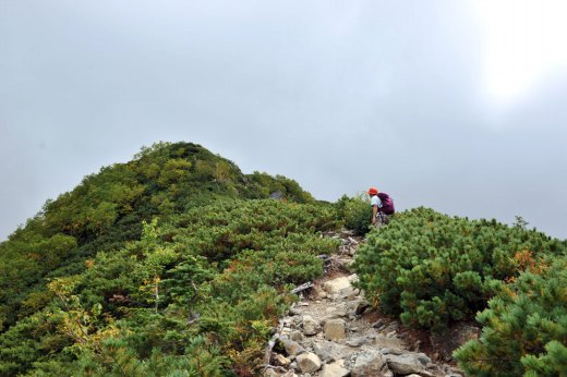 塩見小屋への登山道の様子