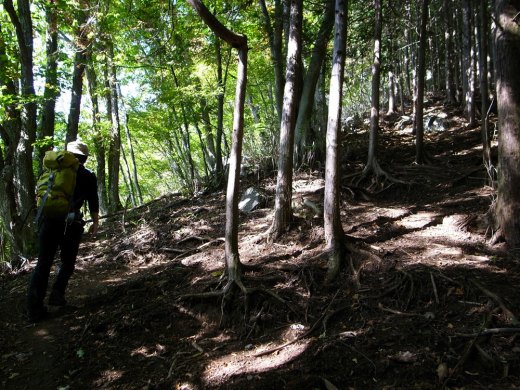 二子山西岳　初心者コースの様子