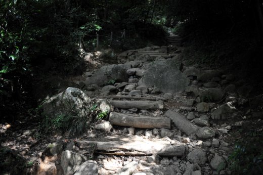 御幸ヶ原コース登山道の様子