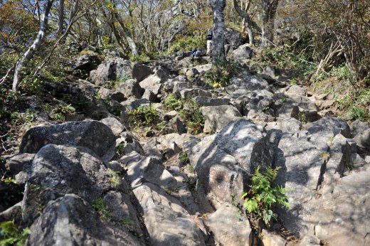 御幸ヶ原から男体山への登山道の様子