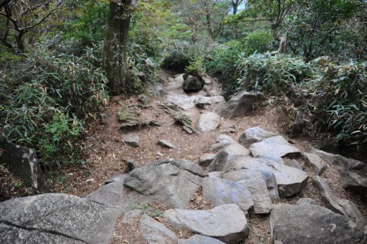 白雲橋コースの急登