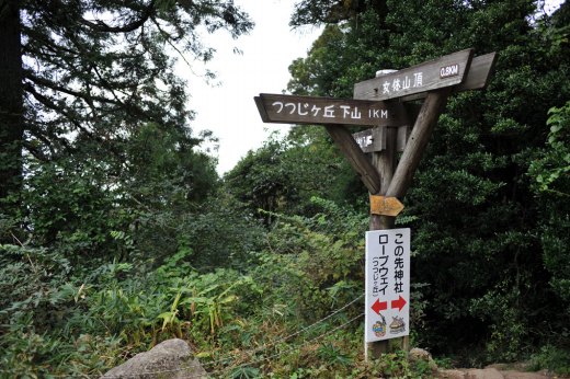 弁慶茶屋跡の分岐