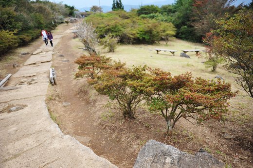 つつじヶ丘高原