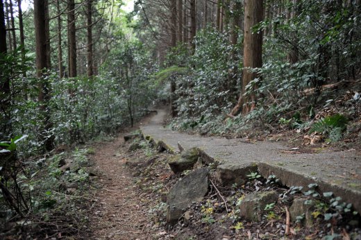 迎場コースの様子１