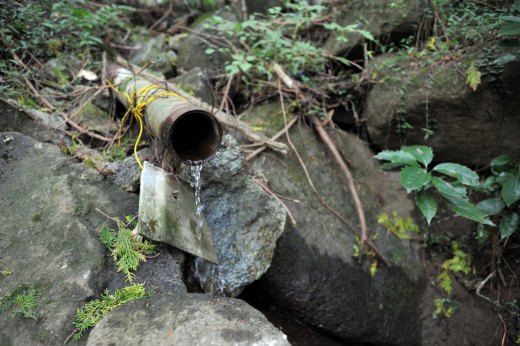 迎場コースの水場