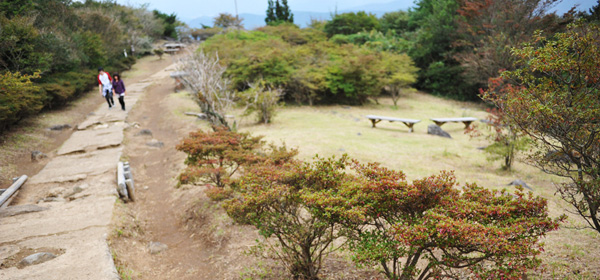 つつじヶ丘高原