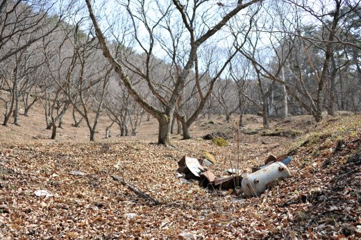 芦倉沢沿いの山の斜面