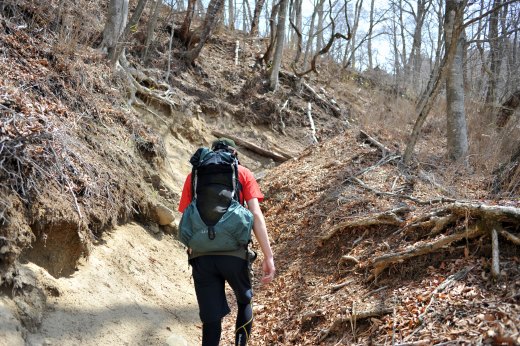 千石平から上日川峠への登山道