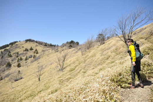 大菩薩嶺への縦走路