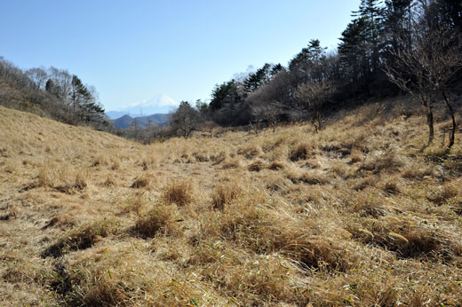 丸川峠から見る富士山