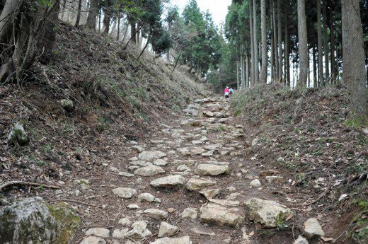 伊吹山登山口から1合目までの登山道の様子