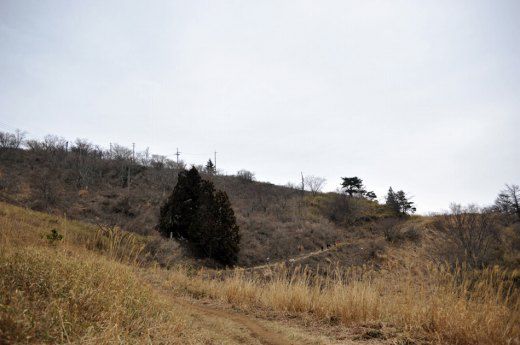 伊吹山1合目から2合目にかけての登山道